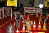 CHIEN GUIDE 002